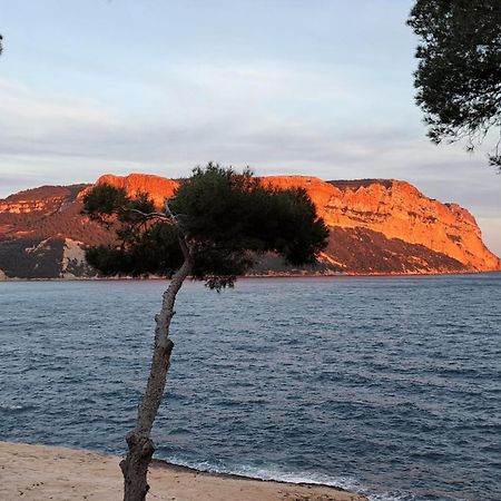 Superbe Appartement Piscine, Tennis, Vue Mer Et Decore Avec Gout Cassis Eksteriør bilde